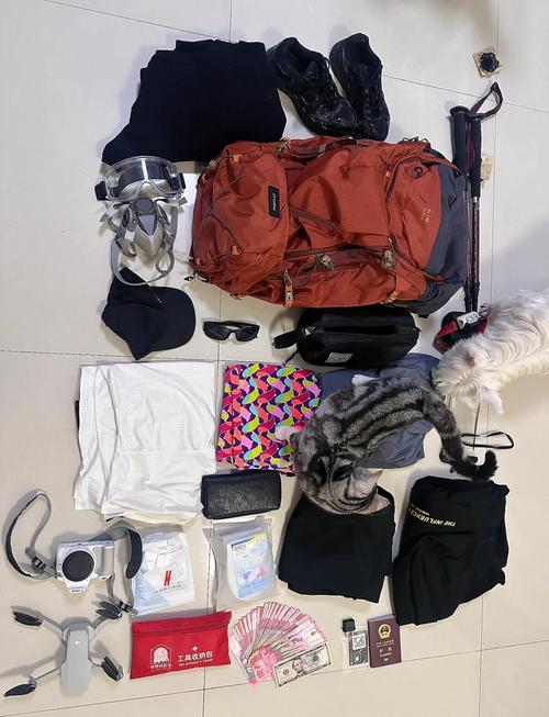 什么装备上火山比较好,去火山要带什么装备-第5张图片 什么装备上火山比较好,去火山要带什么装备-第5张图片