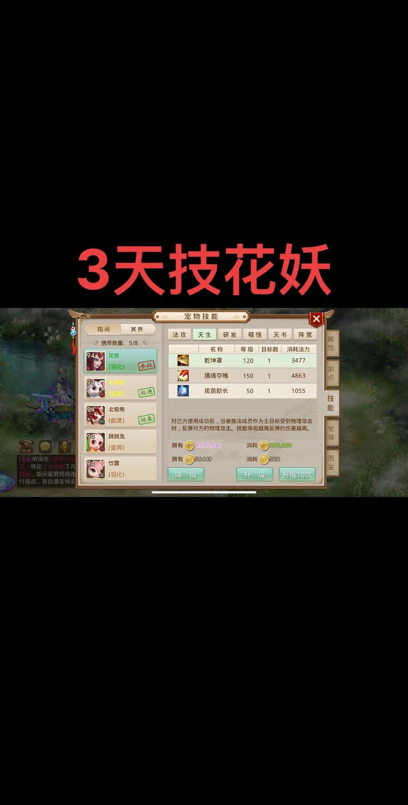 问道手游怎么绑定装备首饰-问道端游怎么绑定装备-第3张图片 问道手游怎么绑定装备首饰-问道端游怎么绑定装备-第3张图片