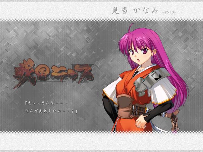 战国兰斯技能说明，战国兰斯sl-第6张图片