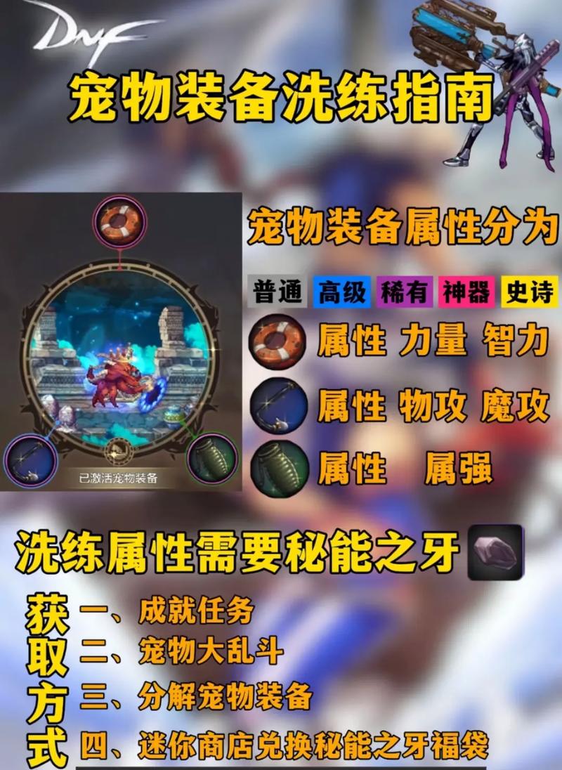 关于“dnf宠物装备哪里买”的解答-第7张图片