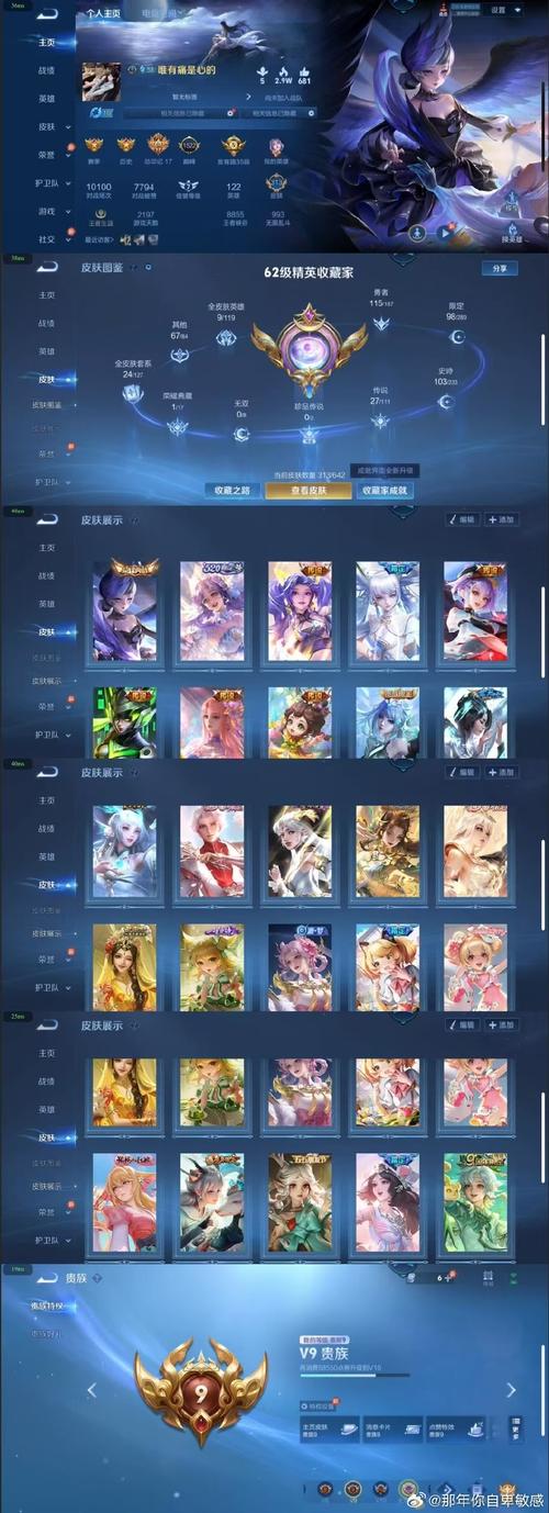 关于“荣耀皮肤怎么买”的解答-第6张图片