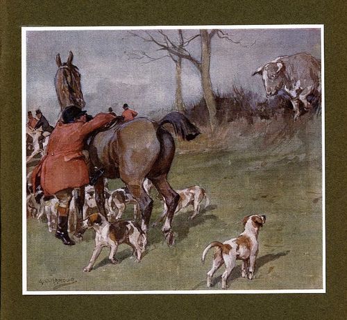 【合金装备fox组织在哪，合金装备freeze】-第7张图片