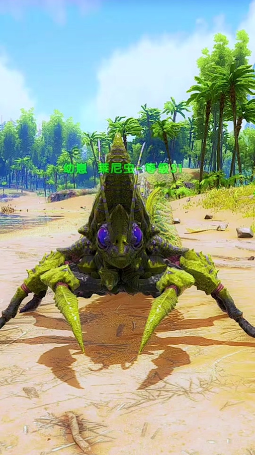 关于“麻醉镖怎么装备武器”的解答-第9张图片 关于“麻醉镖怎么装备武器”的解答-第9张图片