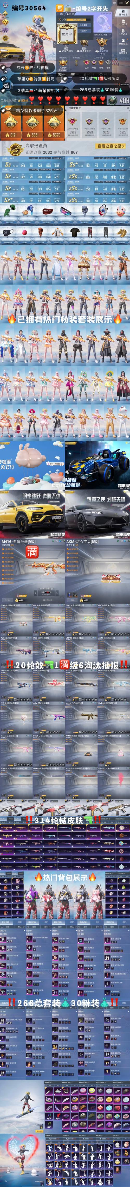 【幻灵游侠宠物装备大全，幻灵游侠 练宠路线】-第4张图片