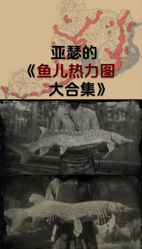 【鱼斯拉需要多少技能点，鱼斯拉打法】-第1张图片