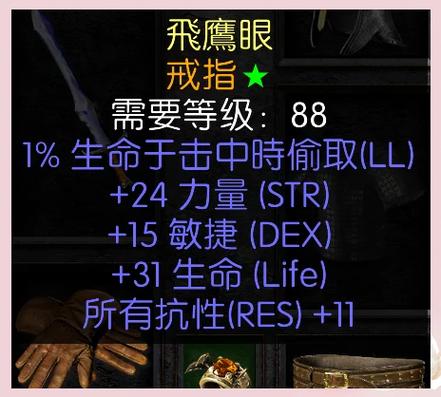 【暗黑女巫用什么装备好，暗黑女巫最强装备】-第3张图片