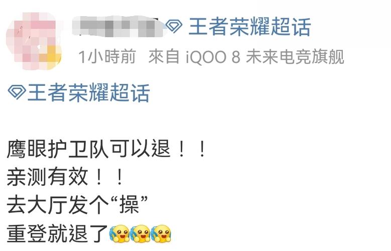 王者里面的鹰眼-王者里面的鹰眼护卫队确认加入为什么显示数据异常-第5张图片