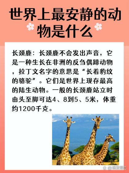 长颈鹿每天睡多长时间,长颈鹿每天大约睡多长时间-第5张图片 长颈鹿每天睡多长时间,长颈鹿每天大约睡多长时间-第5张图片