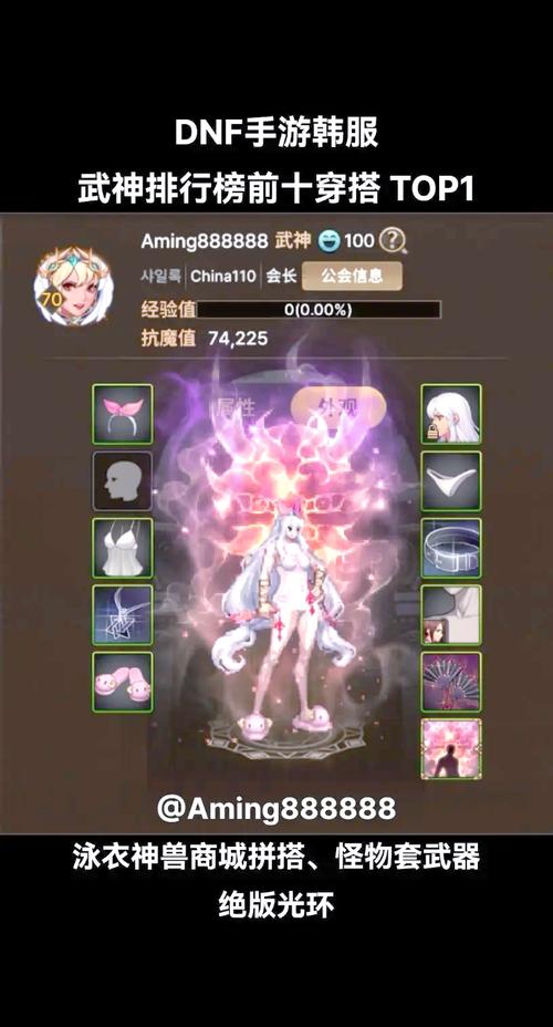 关于“dnf武神85史诗套选取”的解答-第2张图片