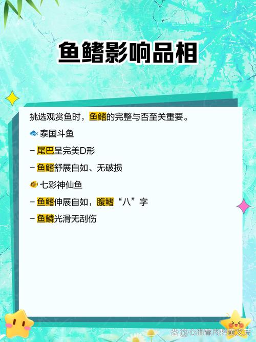 欧米伽毕业装,欧米茄毕业款-第2张图片 欧米伽毕业装,欧米茄毕业款-第2张图片