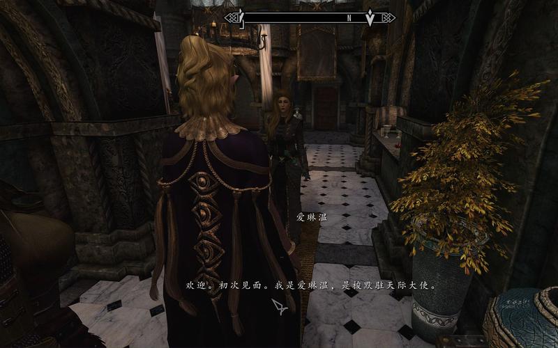 上古5删除装备怎么恢复，上古5武器代码-第1张图片