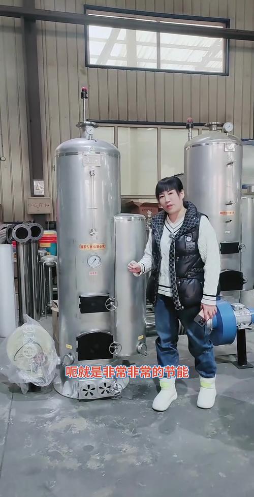 关于“锅炉处理无烟设备”的解答-第3张图片