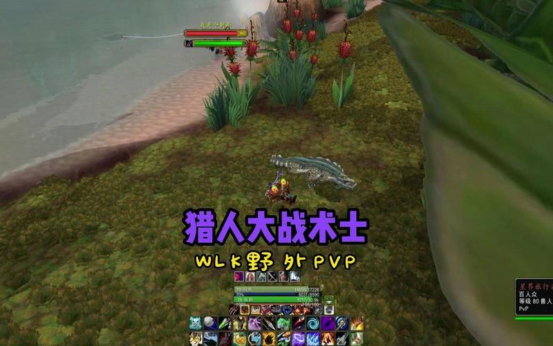 关于“猎人野外pvp怎么打”的解答-第4张图片 关于“猎人野外pvp怎么打”的解答-第4张图片