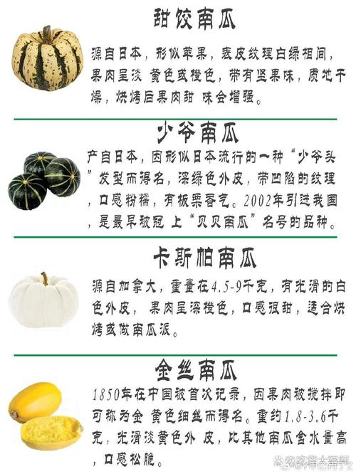 上古世纪黄金蜂巢/上古世纪黄金废墟怎么去