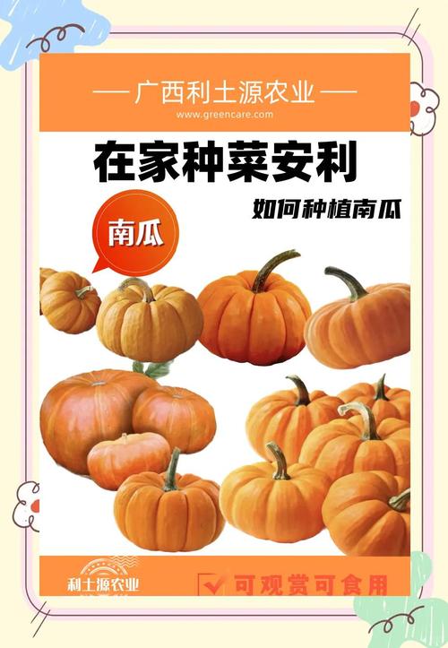 上古世纪黄金蜂巢/上古世纪黄金废墟怎么去-第2张图片 上古世纪黄金蜂巢/上古世纪黄金废墟怎么去-第2张图片