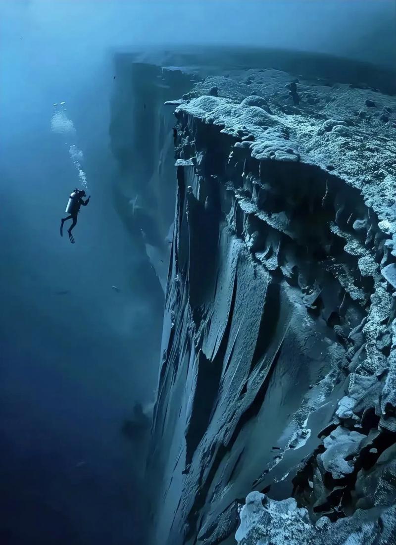 潜水录像设备-潜水摄影器材-第5张图片 潜水录像设备-潜水摄影器材-第5张图片