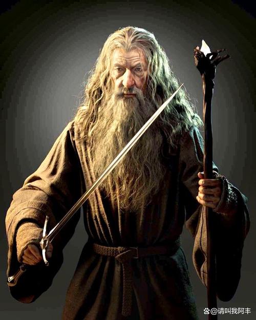 夏尔死灵幻化，夏尔送葬服人设图-第2张图片