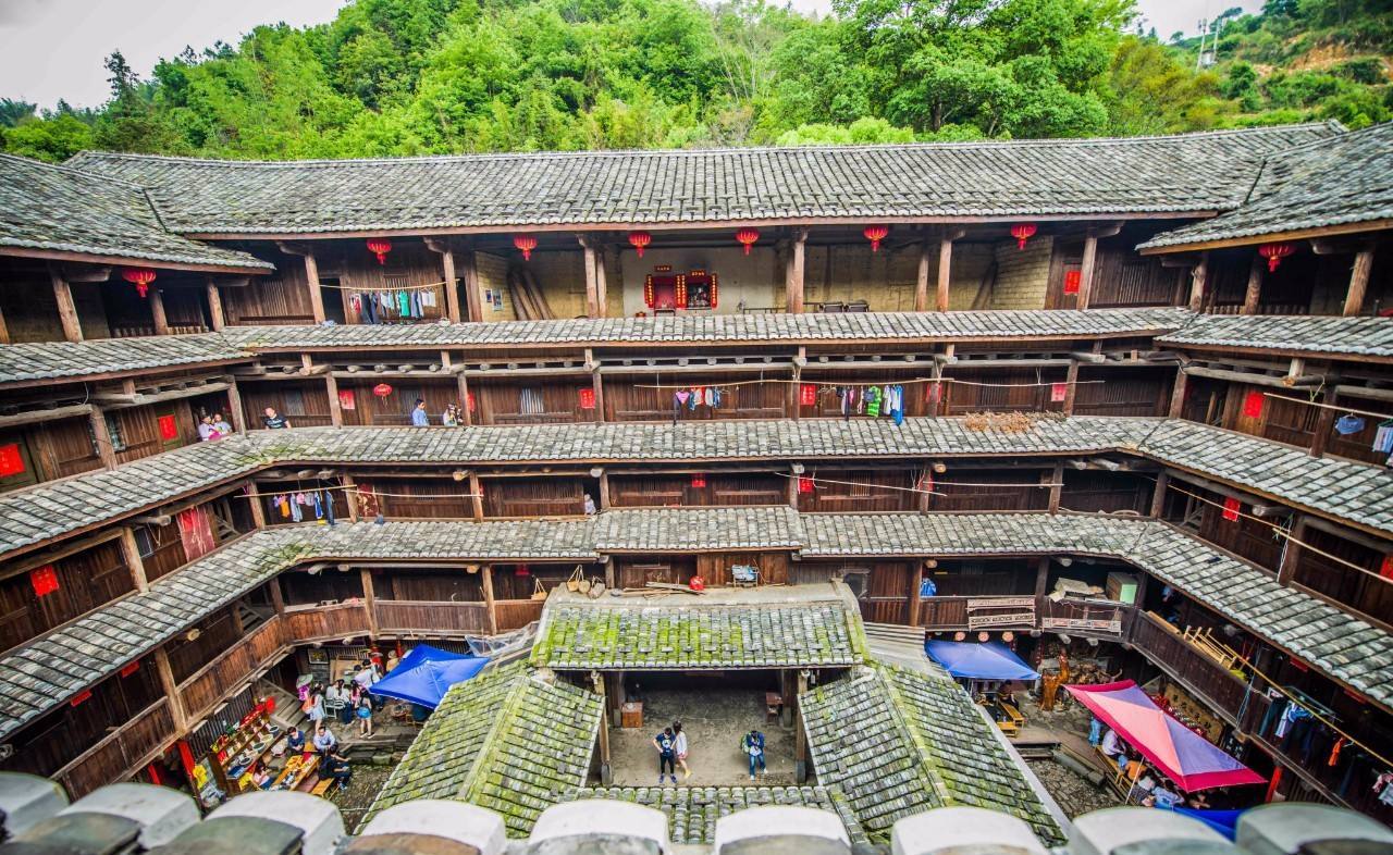 沼泽地行走的神器/在沼泽地怎么行走-第4张图片