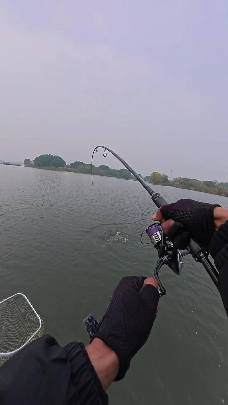 关于“钓鱼装备精简”的解答-第7张图片