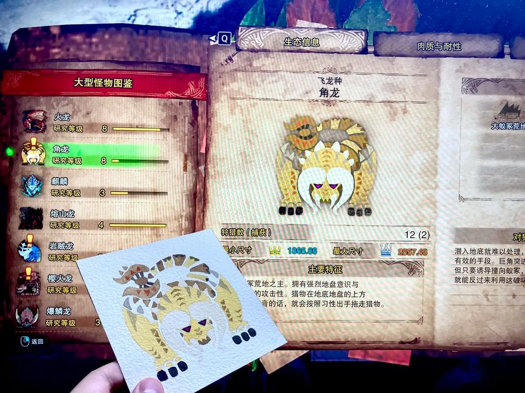 怪物猎人p3装备技能大全-怪物猎人p3装备技能怎么用-第5张图片 怪物猎人p3装备技能大全-怪物猎人p3装备技能怎么用-第5张图片