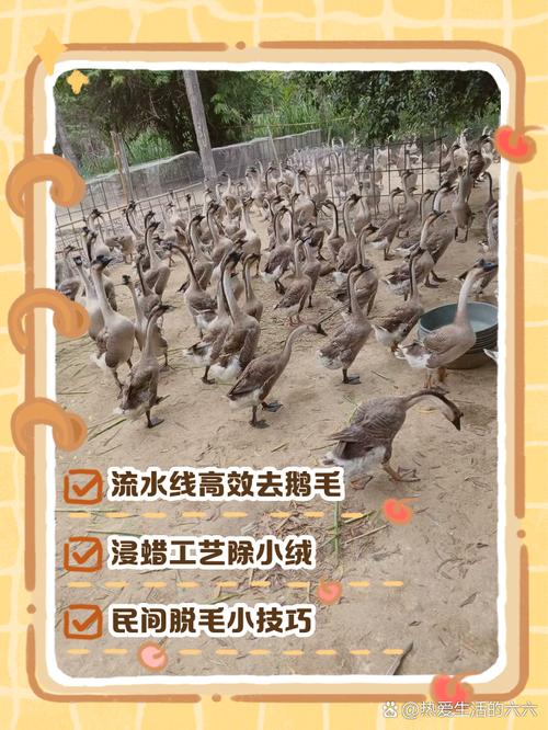 【大眼睛给什么装备，大眼睛技能】-第5张图片