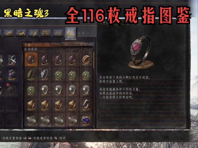 黑魂装备介绍，黑魂装备大全-第5张图片