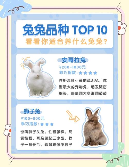 泽西装备jersey，泽西为什么不能召唤铠甲了-第1张图片