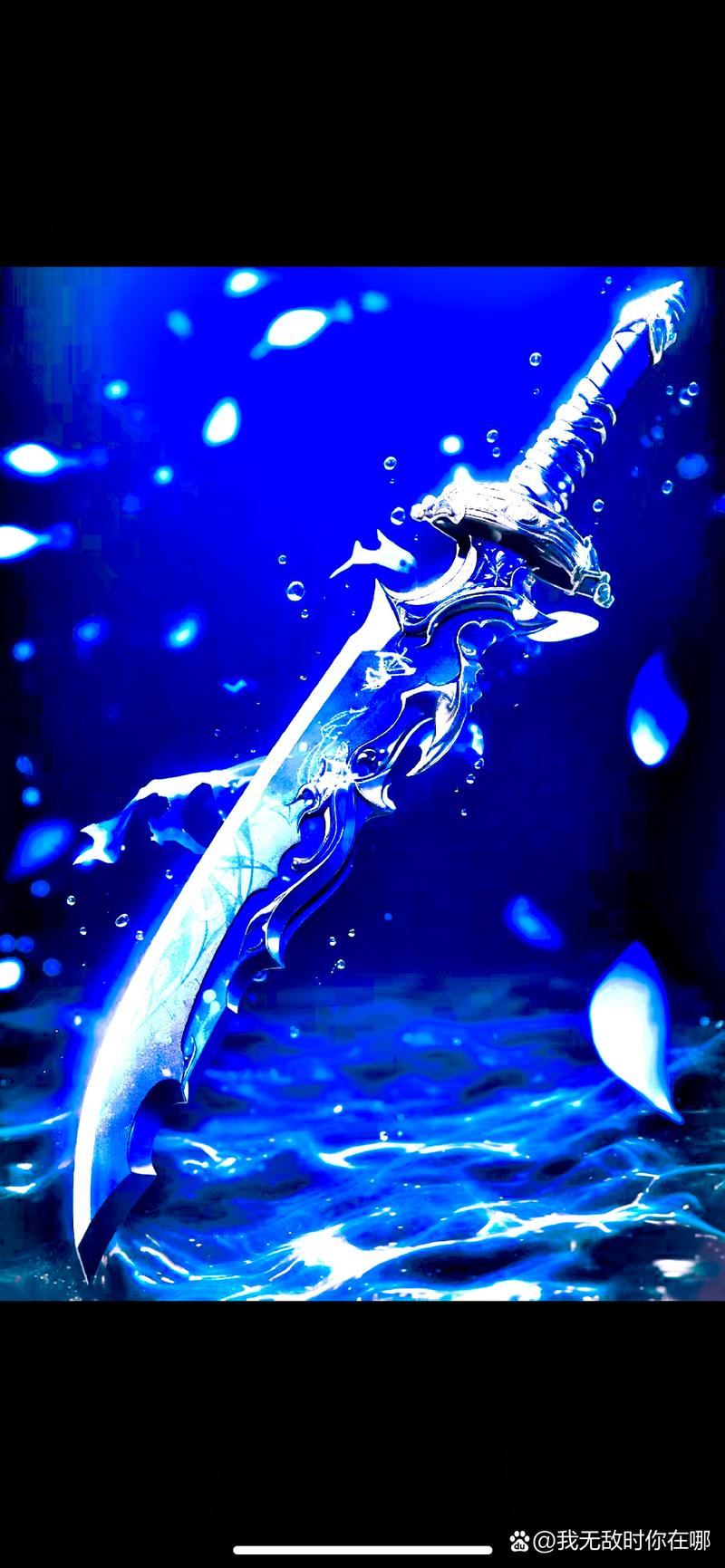 【遗忘群岛宠物装备搭配，遗忘岛b】-第4张图片