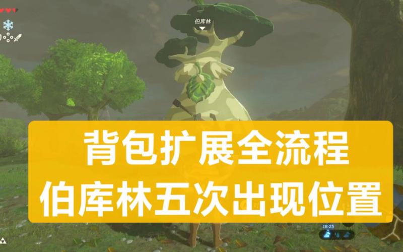 【塞尔达怎么维修装备栏,塞尔达 修装备】-第6张图片 【塞尔达怎么维修装备栏,塞尔达 修装备】-第6张图片