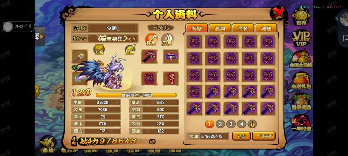 关于“仙域装备费用查询”的解答-第4张图片