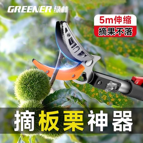 【打板栗的工具,打板栗的工具是什么】-第2张图片 【打板栗的工具,打板栗的工具是什么】-第2张图片