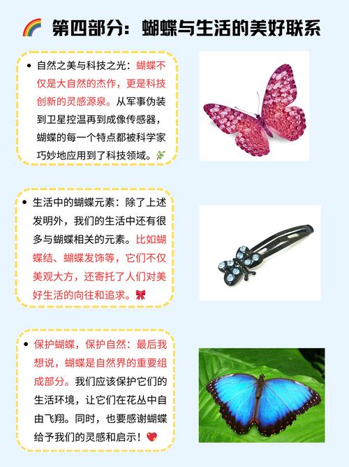 蝴蝶翅膀衣服-蝴蝶翅膀衣服图片-第4张图片