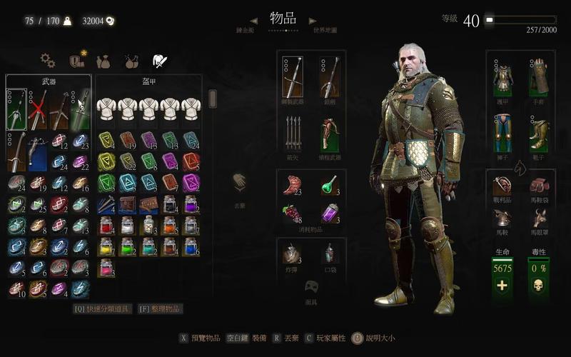 巫师3属性装备大全/巫师3属性装备大全图鉴-第2张图片 巫师3属性装备大全/巫师3属性装备大全图鉴-第2张图片