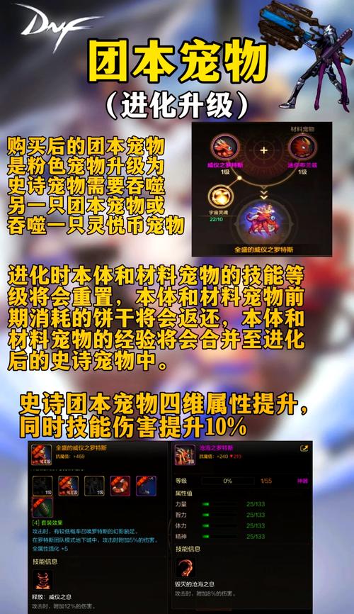 dnf宠物装备怎么获得最快,dnf宠物装备怎么选取-第4张图片 dnf宠物装备怎么获得最快,dnf宠物装备怎么选取-第4张图片