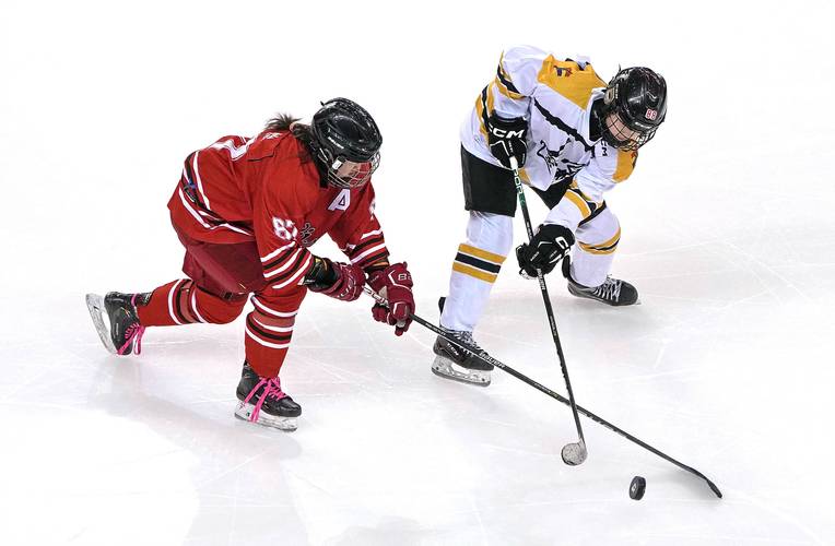 【冰球运动中使用的球重量应为多少克，冰球使用的球直径为多少厘米】-第9张图片