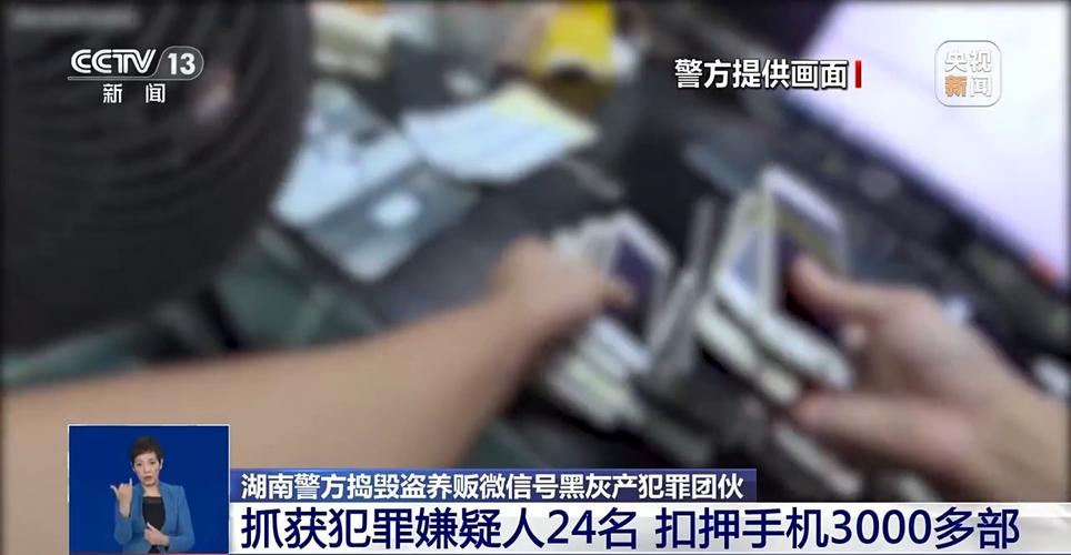 养号卖号违法吗/如何养号卖号-第3张图片