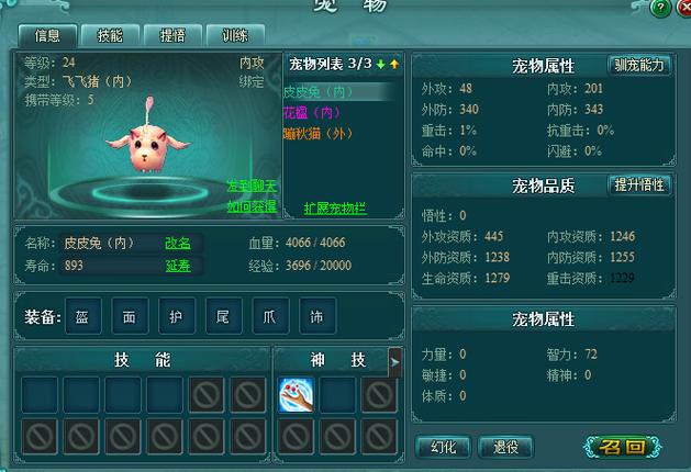 【宠物装备提升多大了，宠物装备属性上限表及打造心得】-第3张图片
