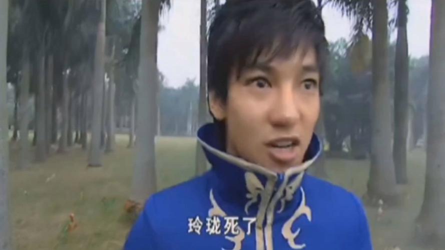 【玲珑怎么复活队友，玲珑技能搭配】-第4张图片